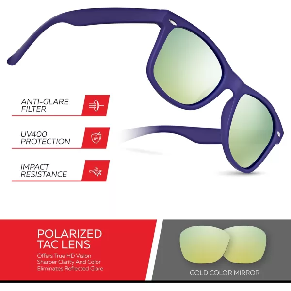 Retro Rewind Polarized Sunglasses for Men and Women  UV Protection Classic Sun GlassesMatte Violet Blue  Revo Gold