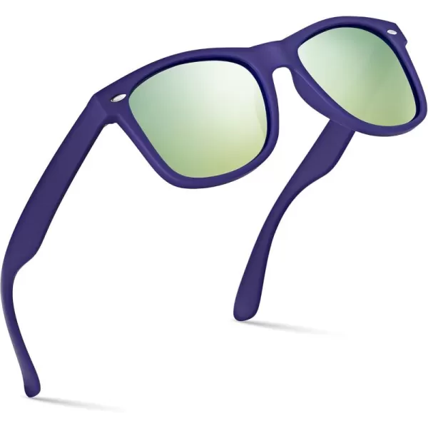 Retro Rewind Polarized Sunglasses for Men and Women  UV Protection Classic Sun GlassesMatte Violet Blue  Revo Gold