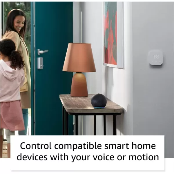 Echo Dot with TPLink Tapo Smart Color Bulb