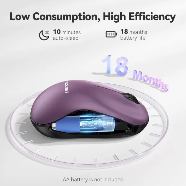 TECKNET Wireless Mouse for Laptop 24G Silent Mouse Quiet Click Small Portable Computer Mouse 5 DPI Levels Cordless Mice for PC Chromebook Mac  PinkPurple