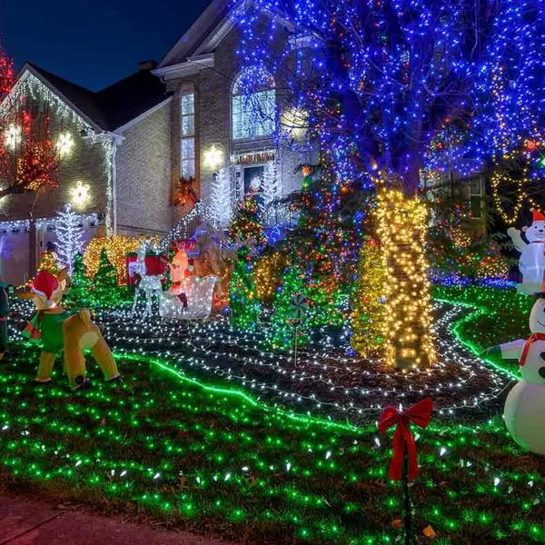 Dazzle Bright MultiColored Christmas Mini String Lights 20FT 100 Count Incandescent Waterproof Fairy Lights Plug in Connectable Christmas Decorations for Indoor Outdoor Home Party Garden YardGreen