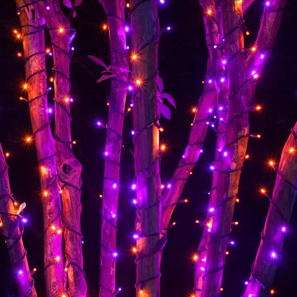 Dazzle Bright 33FT 100 LED Christmas String Lights Indoor Outdoor Waterproof Warm White Christmas Lights Green Wire Twinkle Lights Plug in for Tree Room Bedroom Wedding Xmas DecorationsPurple and Orange