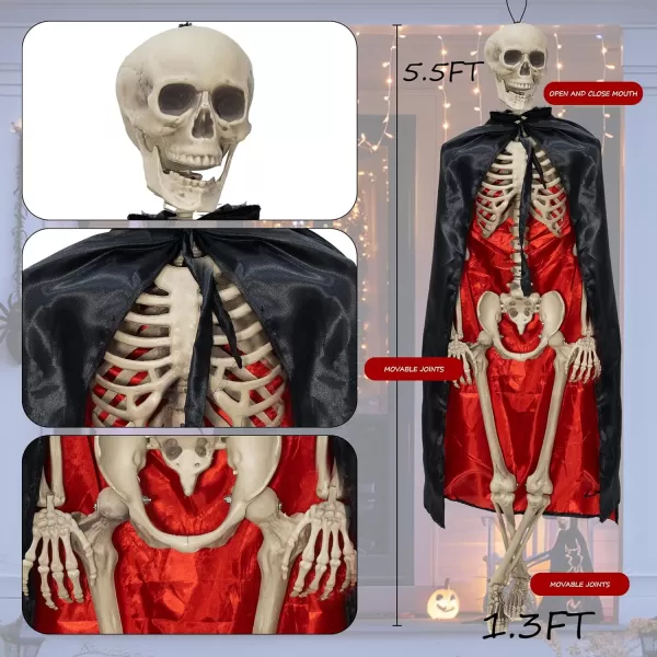 Dazzle Bright 55 FT Life Size Adjustable Skeleton with Black Cloak Realistic Human Bones Full Body with Posable Joints for Halloween Decor Front Yard Patio Lawn Garden