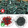 imageDazzle Bright Christmas Lights Storage Bags  100 LED 66 FT C9 Warm White Christmas String Lights