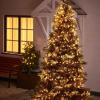 imageDazzle Bright 15 Pack Hooks for String Lights Clips  300 LED 100 FT Warm White Christmas String Lights