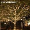 imageDazzle Bright 60Pcs Hooks for String Lights Clips  100 LED Warm White Christmas String Lights