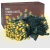 imageDazzle Bright 60Pcs Hooks for String Lights Clips  100 LED Warm White Christmas String Lights