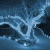 imageDazzle Bright Smart Color Changing Christmas Lights 66FT 200 LED RGB String Lights with Remote ampamp App Controlled Christmas Decorations for Indoor Outdoor Holiday Xmas Tree Party DecorWhite