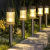 imageDazzle Bright Solar Pathway Lights Outdoor 12 Pack LED Solar Powered Waterproof Garden Lights Landscape Lighting for Walkway Driveway Lawn Patio Yard Decoration Warm White12Pack Silver