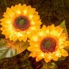 imageDazzle Bright Solar Pathway Lights Outdoor 12 Pack LED Solar Powered Waterproof Garden Lights Landscape Lighting for Walkway Driveway Lawn Patio Yard Decoration Warm White2Pack Sunflower