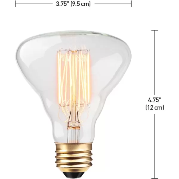 Globe Electric 84654 Designer 40W Labo Vintage Bulb1 Count Pack of 2