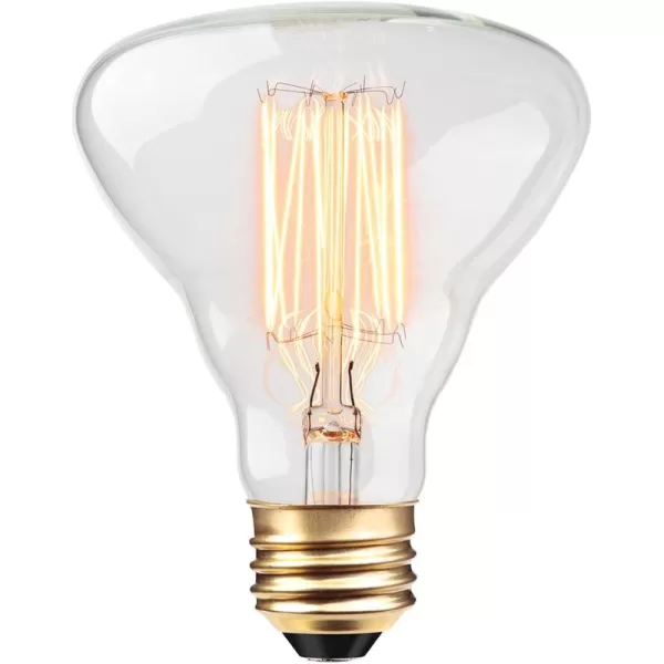 Globe Electric 84654 Designer 40W Labo Vintage Bulb1 Count Pack of 1