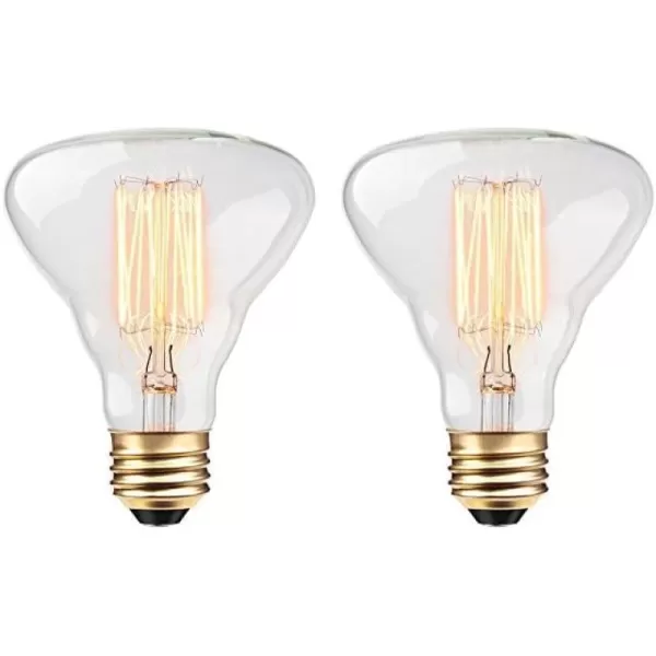 Globe Electric 84654 Designer 40W Labo Vintage Bulb1 Count Pack of 2