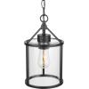 imageGlobe Electric 44773 1Light Outdoor Pendant Matte Black Clear Glass Shade E26 Base Socket Kitchen Island Caf Ceiling Hanging Light Fixture Modern Vintage Porch Light Bulb Not IncludedBlack  Outdoor