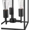 imageGlobe Electric 60340 Emery Pendant Lighting Matte Brass Bulb Not IncludedMatte Black  Heath