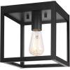 imageGlobe Electric 44301 Charlie 1Light OutdoorIndoor SemiFlush Mount Ceiling Light Oil Rubbed Bronze Clear Seeded Glass Shade Bulb Not IncludedBlack  Sasha