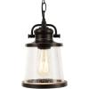 imageGlobe Electric 44231 1Light Outdoor Pendant Bronze Oil Rubbed Finish Clear Seeded Glass Shade Vintage Edison LED Bulb Included Porch Light Ceiling Hanging Light Fixture 650 LumensCharlie