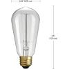 imageGlobe Electric 80151 40W Vintage Edison Mini Tube Clear Glass Dimmable Incandescent Light Bulb 4Pack E12 Base 210 Lumens Edison Bulbs Vintage Light Bulbs E12 Light Bulb Home ImprovementS60 60 Watt