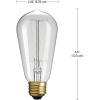 imageGlobe Electric 80151 40W Vintage Edison Mini Tube Clear Glass Dimmable Incandescent Light Bulb 4Pack E12 Base 210 Lumens Edison Bulbs Vintage Light Bulbs E12 Light Bulb Home ImprovementS60 60 Watt