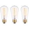 imageGlobe Electric 80151 40W Vintage Edison Mini Tube Clear Glass Dimmable Incandescent Light Bulb 4Pack E12 Base 210 Lumens Edison Bulbs Vintage Light Bulbs E12 Light Bulb Home ImprovementS60 60 Watt