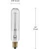 imageGlobe Electric 80151 40W Vintage Edison Mini Tube Clear Glass Dimmable Incandescent Light Bulb 4Pack E12 Base 210 Lumens Edison Bulbs Vintage Light Bulbs E12 Light Bulb Home ImprovementT6 Vintage