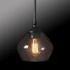 imageGlobe Electric 65690 Harrow 1Light Pendant Lighting Matte Black Smoked Glass Shade Bulb Not IncludedSmoked Glass