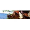 imageMerrell Midweight CushionOlive 8 Pairs