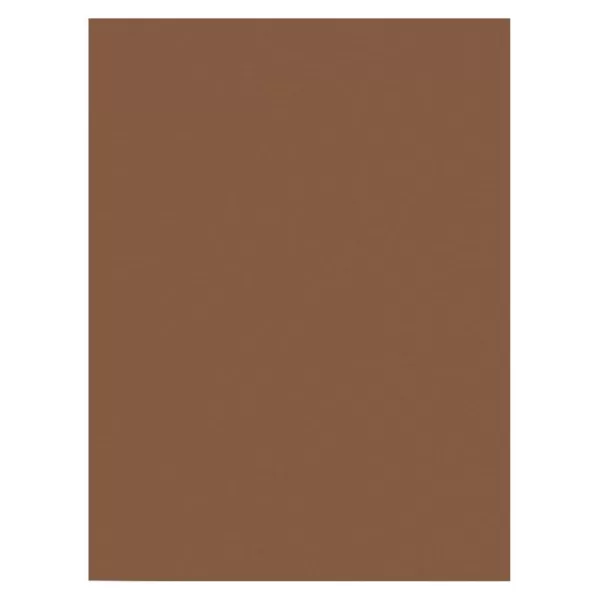 imagePrang Formerly SunWorks Construction Paper Brown 9quot x 12quot 100 Sheets