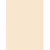 imagePacon 5120 Tagboard Heavyweight 18Inch x24Inch 100 SHPK Manila