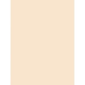 imagePacon 5120 Tagboard Heavyweight 18Inch x24Inch 100 SHPK Manila