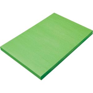 imagePrang Formerly SunWorks Construction Paper Hot Pink 12quot x 18quot 100 SheetsBright Green