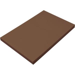 imagePrang Formerly SunWorks Construction Paper Hot Pink 12quot x 18quot 100 SheetsDark Brown
