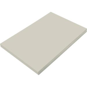 imagePrang Formerly SunWorks Construction Paper Hot Pink 12quot x 18quot 100 SheetsGrey