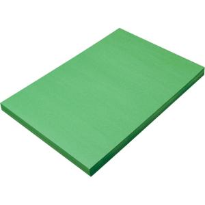 imagePrang Formerly SunWorks Construction Paper Hot Pink 12quot x 18quot 100 SheetsHoliday Green