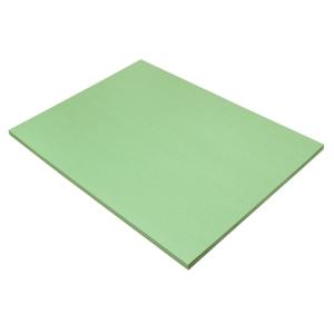 imageSunWorks Construction Paper Light Green 18quot x 24quot 50 Sheets