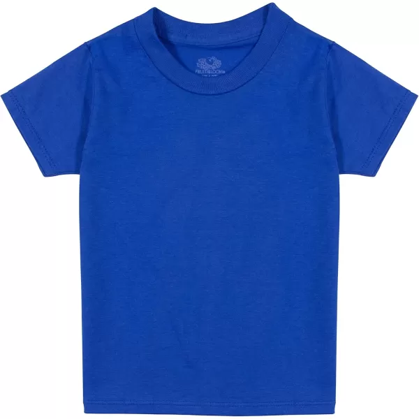 imageFruit of the Loom Boys Cotton White T ShirtT Shirt  Toddler  6 Pack  BlueGreenRed