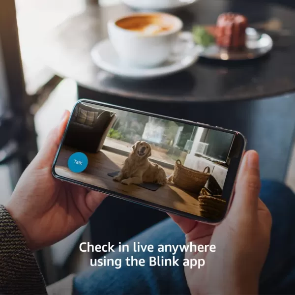 imageBlink Mini  Compact indoor plugin smart security camera 1080p HD video night vision motion detection twoway audio easy set up Works with Alexa  1 camera BlackBlack