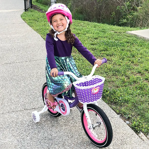Bike Basket