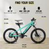 imageJOYSTAR Electric Bike for Kids Teens Ages 10 with 350W Brushless Motor 15 Miles 15MPH Electric Mountain Bicycle with Removable Battery Safe Mini Ebikes with Dual Disc Brakes Multiple ColorsGreen