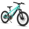 imageJOYSTAR Electric Bike for Kids Teens Ages 10 with 350W Brushless Motor 15 Miles 15MPH Electric Mountain Bicycle with Removable Battery Safe Mini Ebikes with Dual Disc Brakes Multiple ColorsGreen