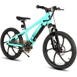 imageJOYSTAR Electric Bike for Kids Teens Ages 10 with 350W Brushless Motor 15 Miles 15MPH Electric Mountain Bicycle with Removable Battery Safe Mini Ebikes with Dual Disc Brakes Multiple ColorsGreen