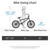 imageJOYSTAR Gemsbok 20 Inch Kids Freestyle BMX Bike for Boys Girls Ages 712 Years 20quot Kids Bicycles for Beginner Level Riders Dual Hand Brakes 2 Pegs Multiple ColorsSilver