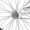 imageJOYSTAR Gemsbok 20 Inch Kids Freestyle BMX Bike for Boys Girls Ages 712 Years 20quot Kids Bicycles for Beginner Level Riders Dual Hand Brakes 2 Pegs Multiple ColorsSilver