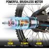 imageJOYSTAR Electric Bike for Kids Teens Ages 7 with 250W Brushless Motor 15 Miles 15MPH Electric Mountain Bicycle with Removable Battery Safe Mini Ebikes with Dual Disc Brakes Multiple ColorsBlack