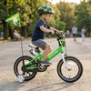 image:imageJOYSTAR Little Daisy Kids Bike for Girls Boys Ages 210 Years 12 14 16 20 Inch Girls Bikes with Doll Bike Seat amp Streamers Boys Bike with Flag amp Number Plate Multiple ColorsLittleRockGreen