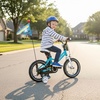 image:imageJOYSTAR Little Daisy Kids Bike for Girls Boys Ages 210 Years 12 14 16 20 Inch Girls Bikes with Doll Bike Seat amp Streamers Boys Bike with Flag amp Number Plate Multiple ColorsLittleRockBlue