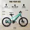 image:imageJOYSTAR 20 24 Electric Bike for Kids Boys Girls Teens Ages 7  Electric Mountain Bike Removable Battery 250W Motor Kids Ebikes Disc BrakesGreen