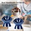 imageVicrays Ceramic Cat Bowl Set  Cat Food Feeding Bowls for Indoor Cats Whisker Friendly Cute Cat Dish Cat Plates Microwave Dishwasher Safe 2 Pack 11 oz 64 inch Blue