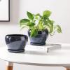 imagevicrays Ceramic Plant Pots Indoor  65 Inch Planter Pot with Drainage Hole and Saucer for Succulent Orchid Flower Herbs Cactus  Ideal for Gardening Home Desktop Office Decor  RedBlue
