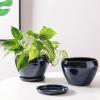imagevicrays Ceramic Plant Pots Indoor  65 Inch Planter Pot with Drainage Hole and Saucer for Succulent Orchid Flower Herbs Cactus  Ideal for Gardening Home Desktop Office Decor  RedBlue